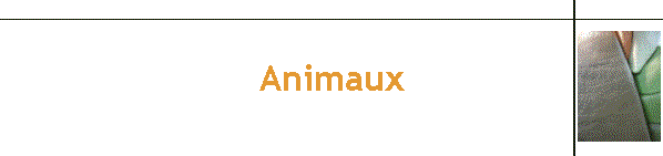 Animaux